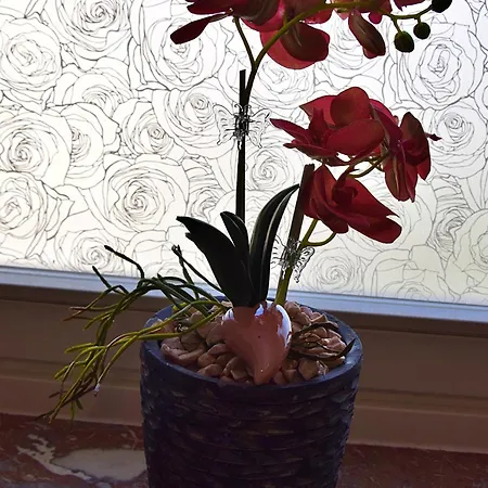 Luna * Commune fusionnée de Bernkastel-Kues