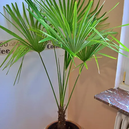 Appartement Luna Commune fusionnée de Bernkastel-Kues