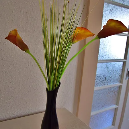 Luna Bernkastel-Kues