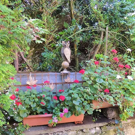 Luna Bernkastel-Kues