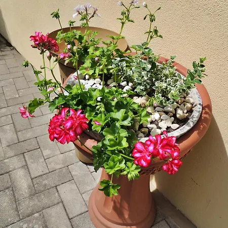 Luna Διαμέρισμα