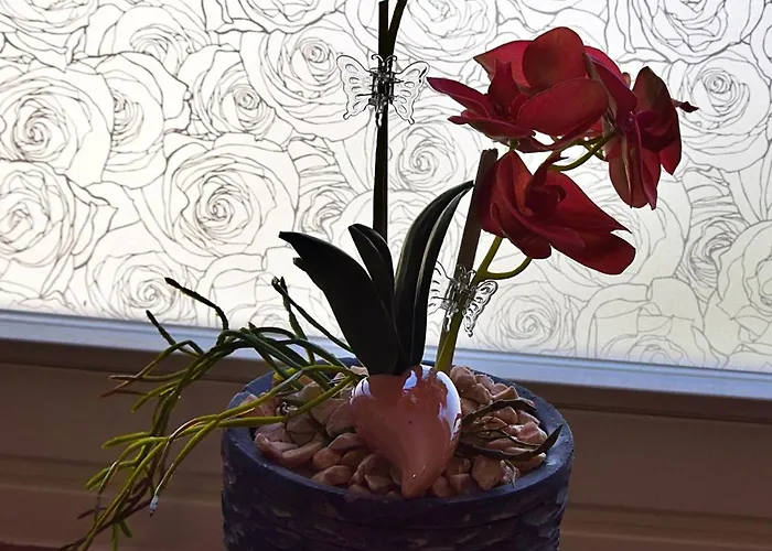 Luna * Bernkastel-Kues