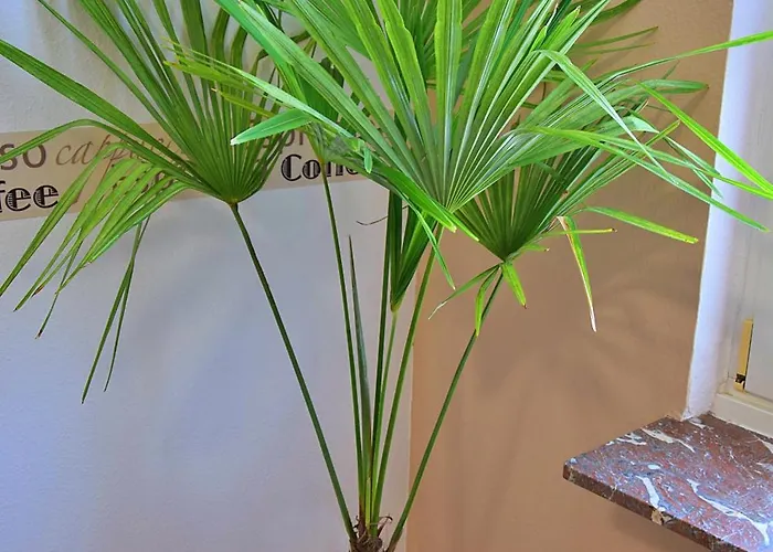 Διαμέρισμα Luna Bernkastel-Kues