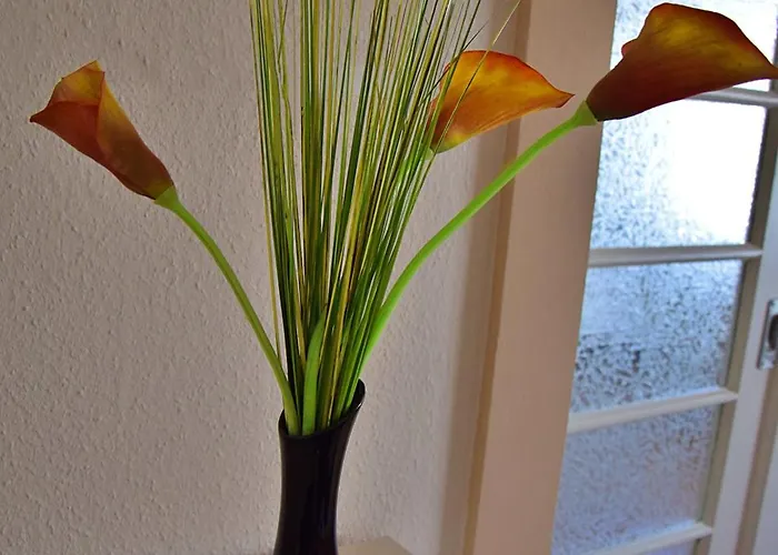 Luna Bernkastel-Kues